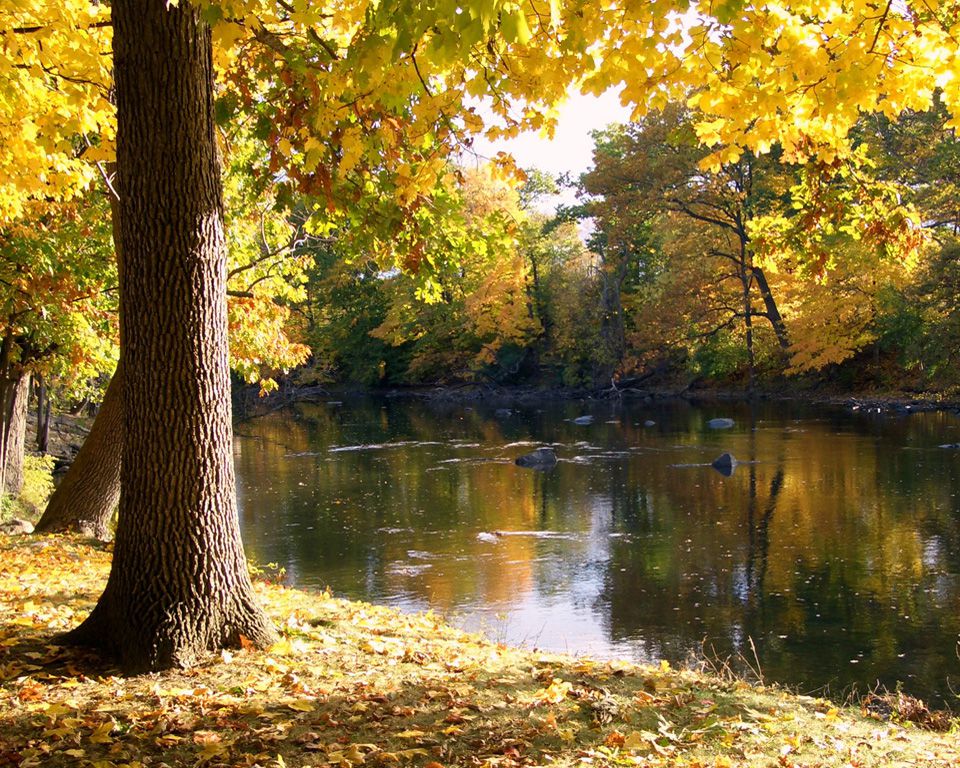 free photos, River bank