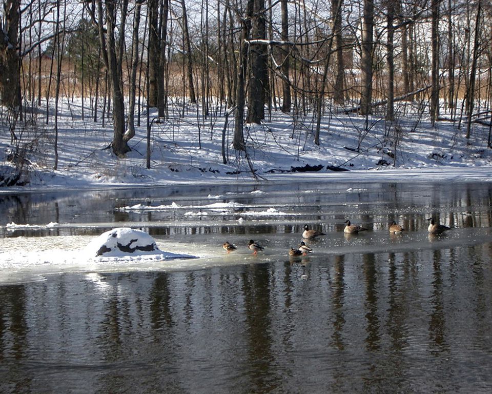 free photos, River ice