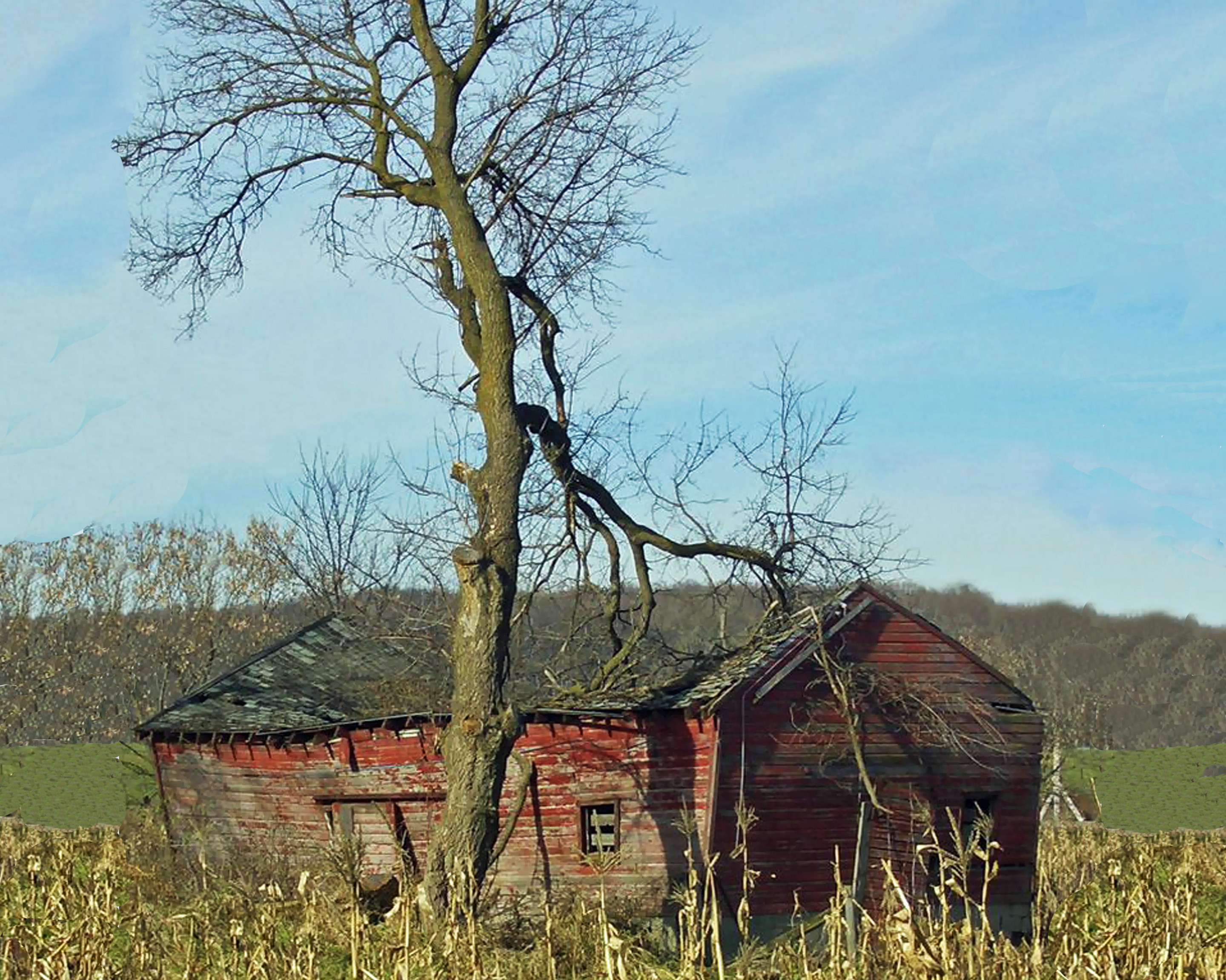 free photos, Still standing