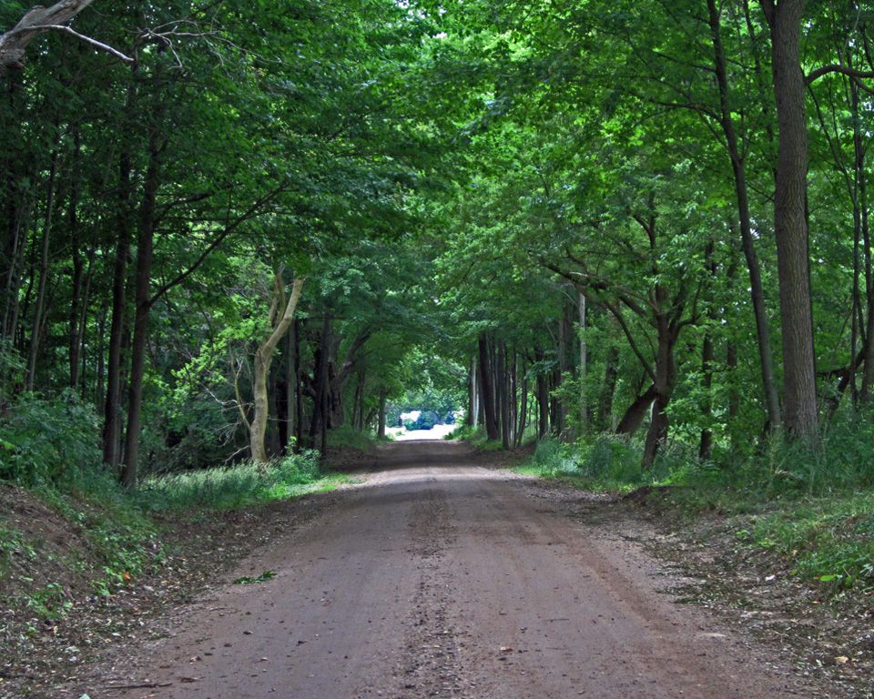 free photos, Tunnel of Trees