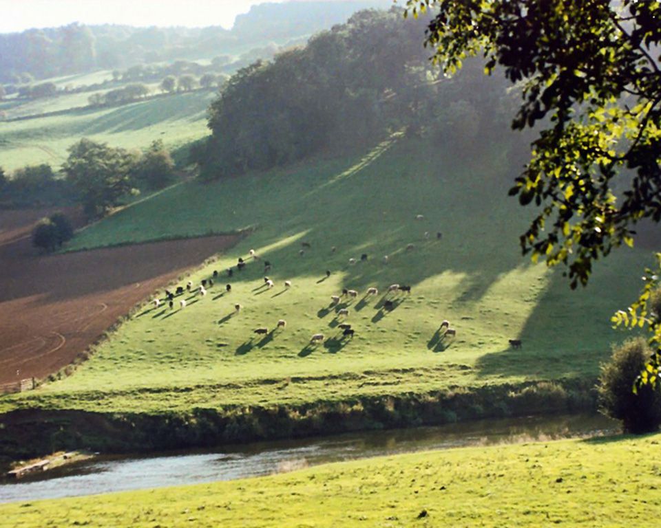 free photos, Wales hillside